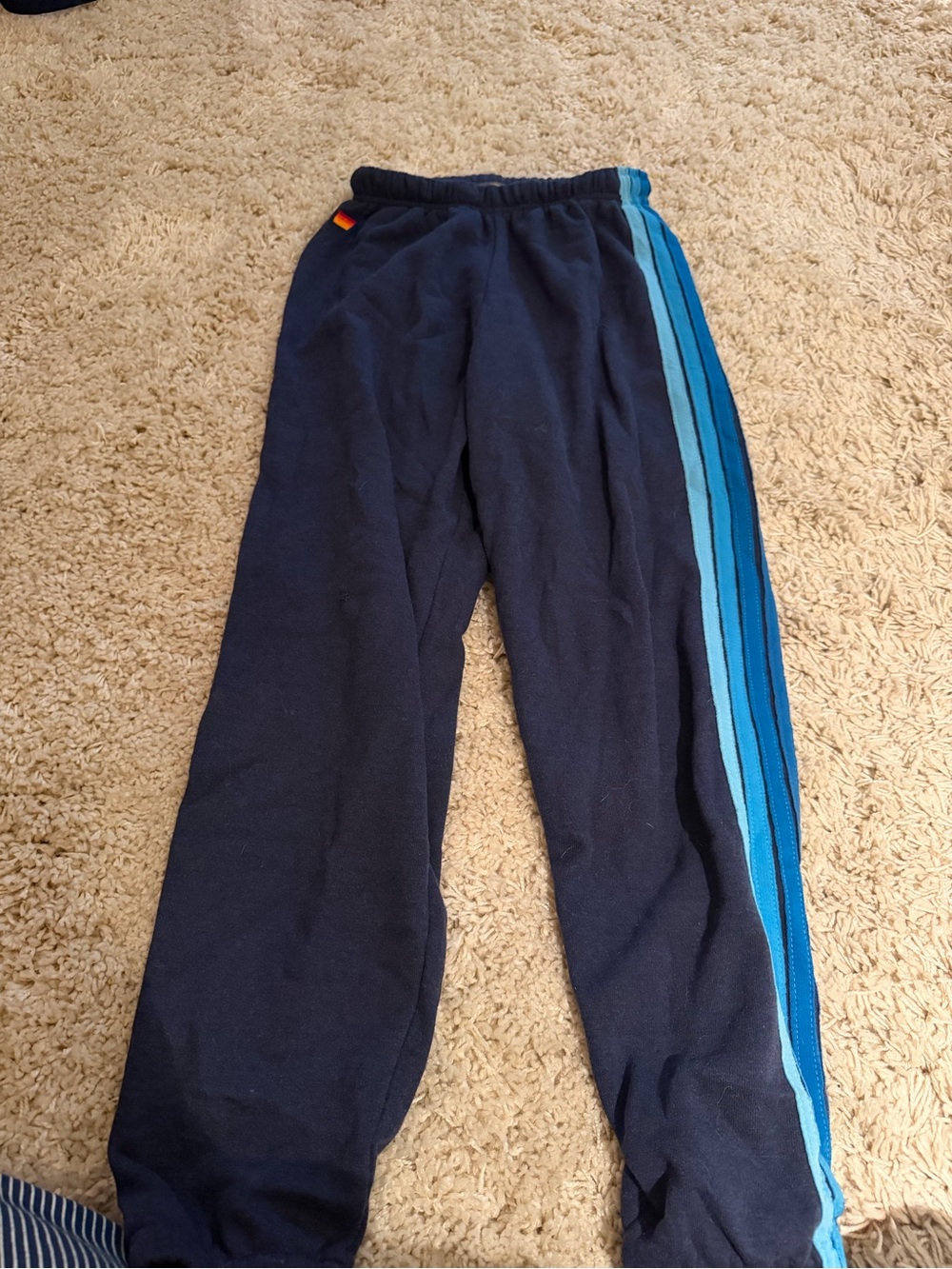 Aviator Nation Navy Sweatpants with Blue Gradient Side Stripes